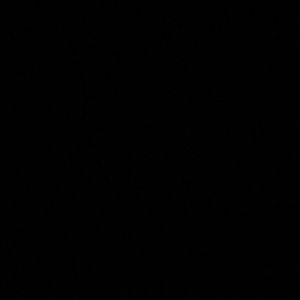 Meet your Posher, Amelia